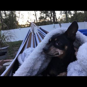 Meet your Posher, Shannon